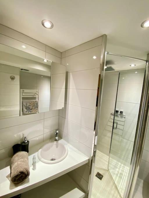 Androsace Appartement Dans Chalet Bois Avec Jacuzzi Privatif Terrasse Et Vue Montagne Les Villards-sur-Thones Exterior photo