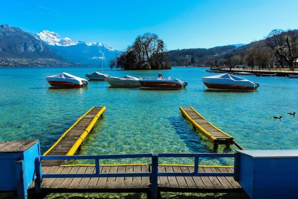 Androsace Appartement Dans Chalet Bois Avec Jacuzzi Privatif Terrasse Et Vue Montagne Les Villards-sur-Thones Exterior photo