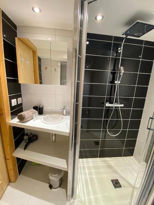 Androsace Appartement Dans Chalet Bois Avec Jacuzzi Privatif Terrasse Et Vue Montagne Les Villards-sur-Thones Exterior photo